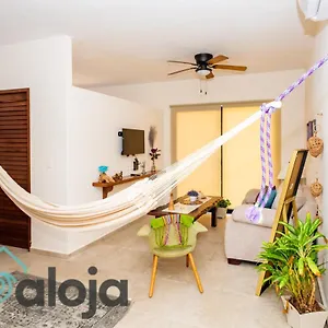 https://ideal-estudios-clidos-y-acogedores.quintano-roohotels.com